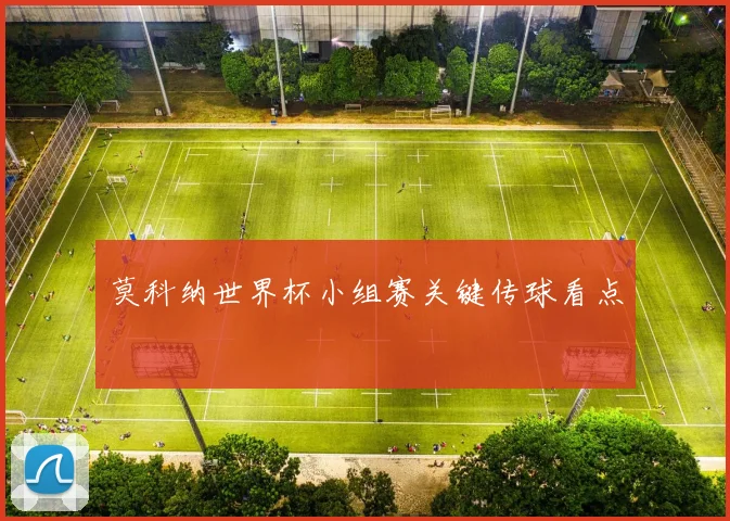 莫科纳世界杯小组赛关键传球看点
