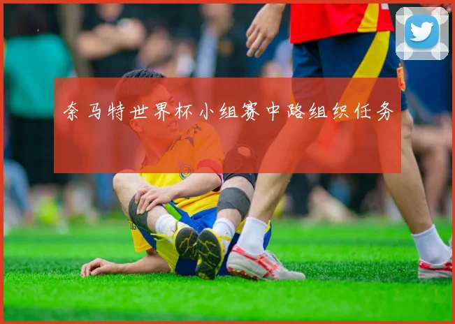 奈马特世界杯小组赛中路组织任务