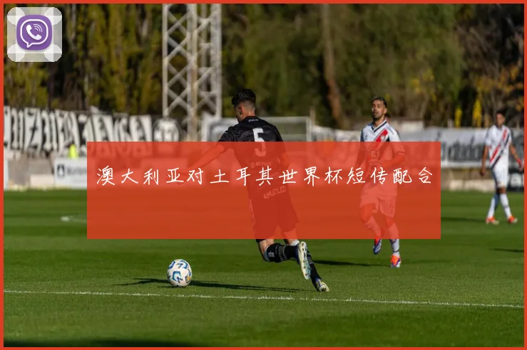 澳大利亚对土耳其世界杯短传配合