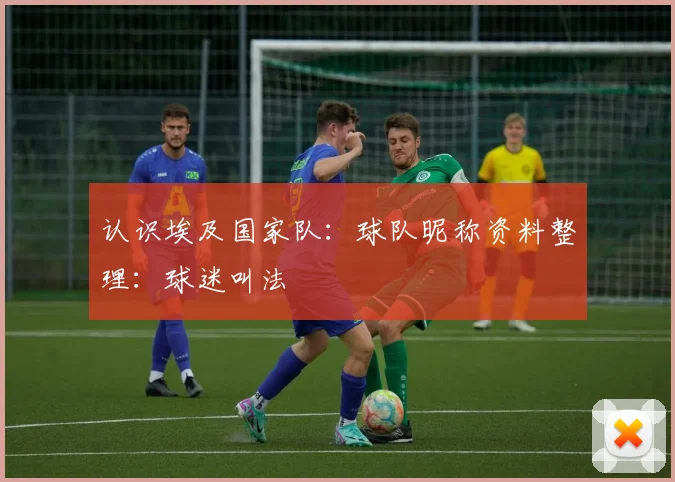 认识埃及国家队：球队昵称资料整理：球迷叫法