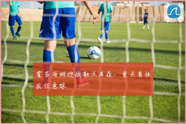 霍芬海姆迎战勒沃库森，重点看快发任意球