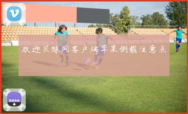 欢迎买球网客户端苹果侧载注意点