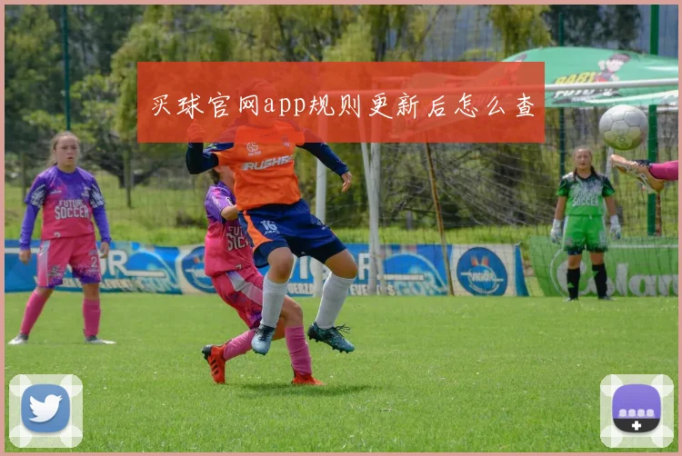 买球官网app规则更新后怎么查
